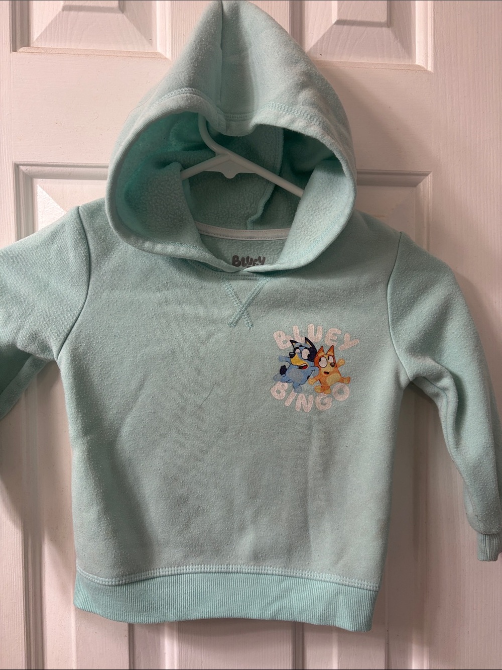 Bluey & Bingo Light Aqua Hoodie for Kids